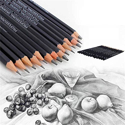Sketching Pencil Set, 24 Pcs Graphite Drawing Pencil for Artists Adults Children Include 12B 10B 8B 7B 6B 5B 4B 3B 2B B HB 2H 4H 6H Pencils, Charcoal Pencils, Canvas Pencil Bag and Accessories
