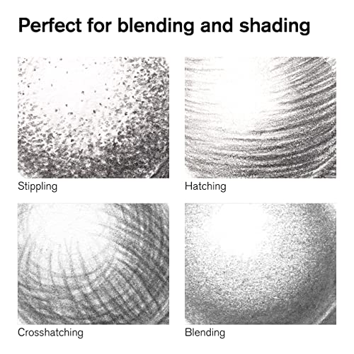 Winsor & Newton 490008 Studio Collection Graphite Pencils, Set of 12, Professional Quality for Artists, for Sketching, Writing and Drawing