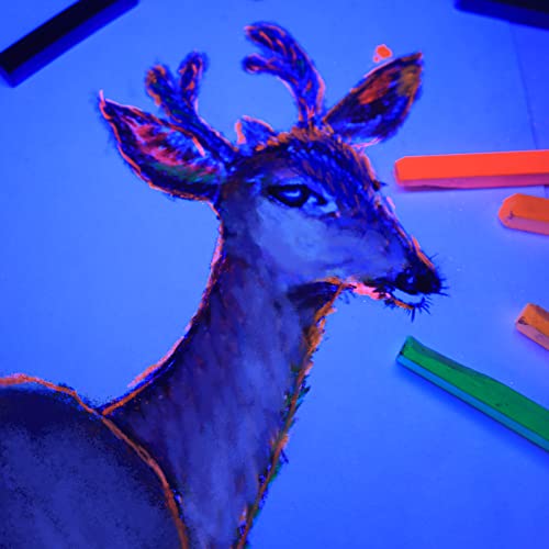 Artecho Soft Pastel Set of 48, Including 4 Fluorescent colors Premium Square Chalk for Drawing, Blending, Layering, Shading, Art Supplies for Kids, Beginners, Students, Experienced Artists