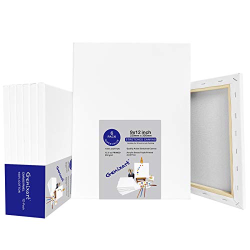 Genixart 24x30cm / 9"x12" Inch White Blank Stretched Canvas, Pack of 6, Primed Professional Artist Canvases for Acrylics & Oils Painting (a4)