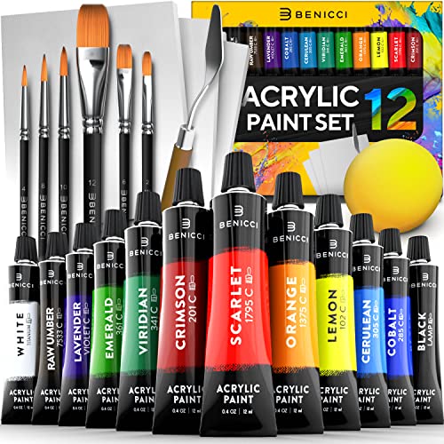 Acrylic Paint Set - 12 Vibrant Colors, 6 Art Brushes and 3 Paint Canvases - for Painting Canvas, Ceramic, Clay, Fabric , Wood & Crafts, Quick Dry & Non-Toxic Paints - for Artists, Kids and Adults
