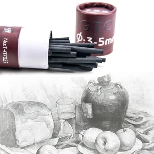 MINIEASE 25 Pcs Charcoal Drawing Pencils Willow Charcoal Sticks Graphite Sticks for Artists for Professionals Students and Hobbyists 3-5mm (millimeters, 5-8mm) (millimeters, 3-5mm)