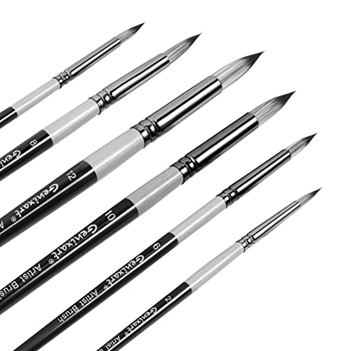 Round Pointed Tip Paint Brushes Set, 6 Pcs Artist Paintbrushes for Acrylic Oil Watercolor Gouache Painting, Premium Nylon Hair Art Paint Brush for Beginners and Professionals