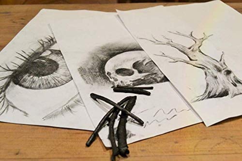 Charcoal Sticks Artists Charcoals Sticks Black Coal Sticks Charcoal Sketch Art Supplies for Drawing Sketching Shading Stick Tool Soft Assorted Sketch Charcoal Sticks Painter Charcoals Sketch Kit 6PCS