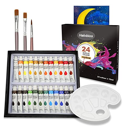 Halobios Acrylic Paint Set, 24 Rich Pigment Oil Paint Set for Adult Children Artists Beginner, Vibrant Variety of Art Supplies Acrylic Paints for Painting Canvas Wood Paper Ceramic Fabric Craft DIY
