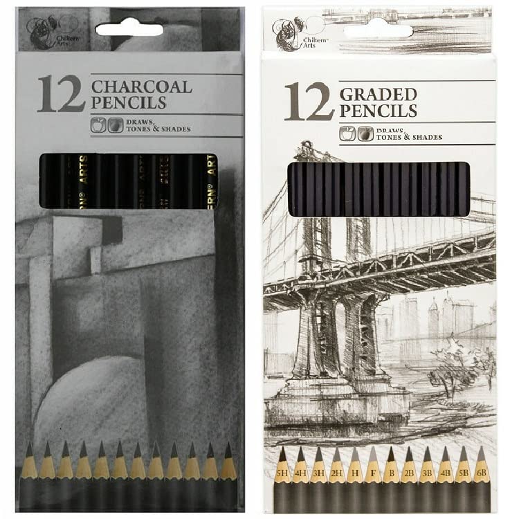 12 Pieces Professional GradedCharcoal Drawing Pencil for Artists Beginners Students Adults Kids Uses, Art & School Supplies (Charcoal Pencils)