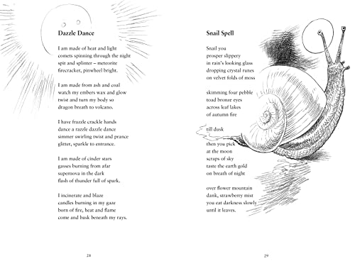 The Big Amazing Poetry Book: 52 Weeks of Poetry From 52 Brilliant Poets