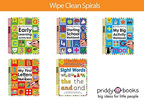 My Big Activity Workbook (Wipe Clean Workbooks)