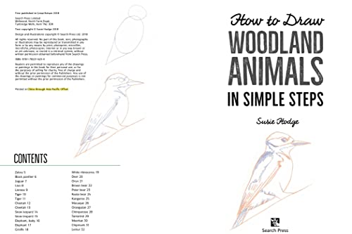 How to Draw: Woodland Animals: in simple steps