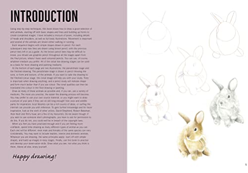 How to Draw: Woodland Animals: in simple steps