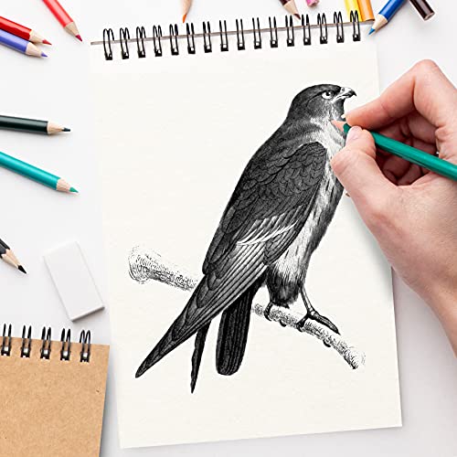 Mamowla Sketchbook A5 Sketch Pad, Spiral Bound Drawing Pad for Kids Adults with Durable Hardboard, 160GSM Sketch Books Drawing Paper with Acid Free Art Books 60 Pages（2 Packs）