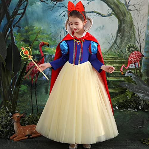 Vicloon Princess Costumes Set, 8 Pcs Princess Elsa Dress Up Accessories Set, Include Elsa Crown, Wand, Gloves, Necklaces and Hair Band, Princess Dress Up for Girls