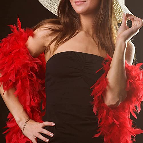 Feather Boa for Fancy Dress and Crafts, 2 Meters Long - Approx 80 G Feathers Boa DIY Girl's Fancy Dress Accessories Christmas Carnival, 2022 Halloween Costume Accessory Holiday Decors(Red)
