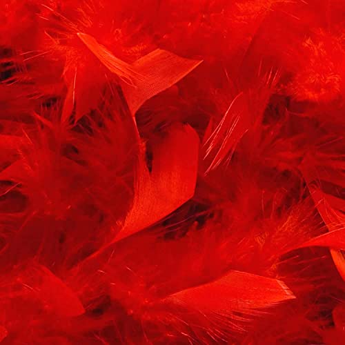 Feather Boa for Fancy Dress and Crafts, 2 Meters Long - Approx 80 G Feathers Boa DIY Girl's Fancy Dress Accessories Christmas Carnival, 2022 Halloween Costume Accessory Holiday Decors(Red)