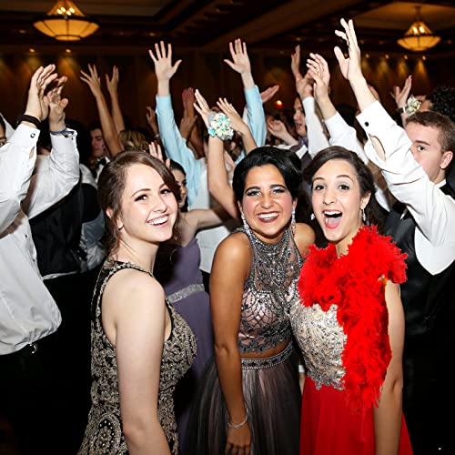 Feather Boa for Fancy Dress and Crafts, 2 Meters Long - Approx 80 G Feathers Boa DIY Girl's Fancy Dress Accessories Christmas Carnival, 2022 Halloween Costume Accessory Holiday Decors(Red)