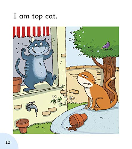 Read with Oxford: Stage 1: Julia Donaldson's Songbirds: Bob Bug and Other Stories