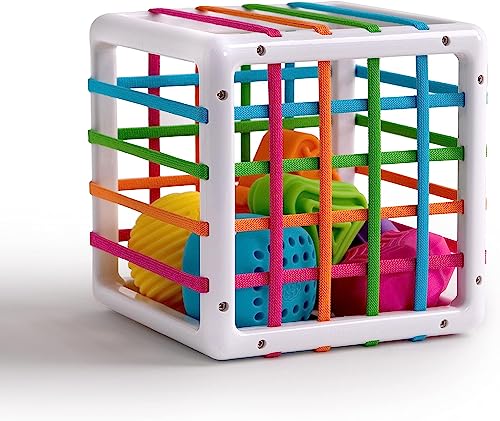 Fat Brain Toys F251 Fat Brain InnyBin, Kids Preschool, Shape Sorter, Sorting Building Sets, Early Development Toy for Babies Aged 18 Months and Older, Multicoloured