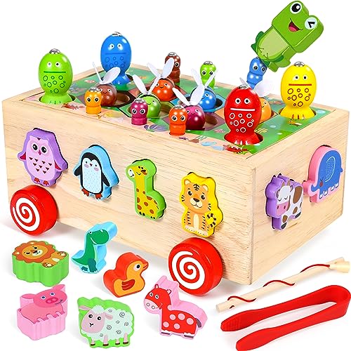 COOLJOY Montessori Wooden Educational Toys | Shape Sorting Toys | Magnetic Fishing Game Early Development & Activity Toys | Fine Motor Skills Toy for Kids Boys Girls 1 2 3 Year Olds