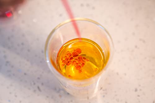 The Crazy Scientist Advent Calendar - 24 Cool Science Experiments - 2023 Countdown to Christmas for Kids Who Love Science. Age 8-99