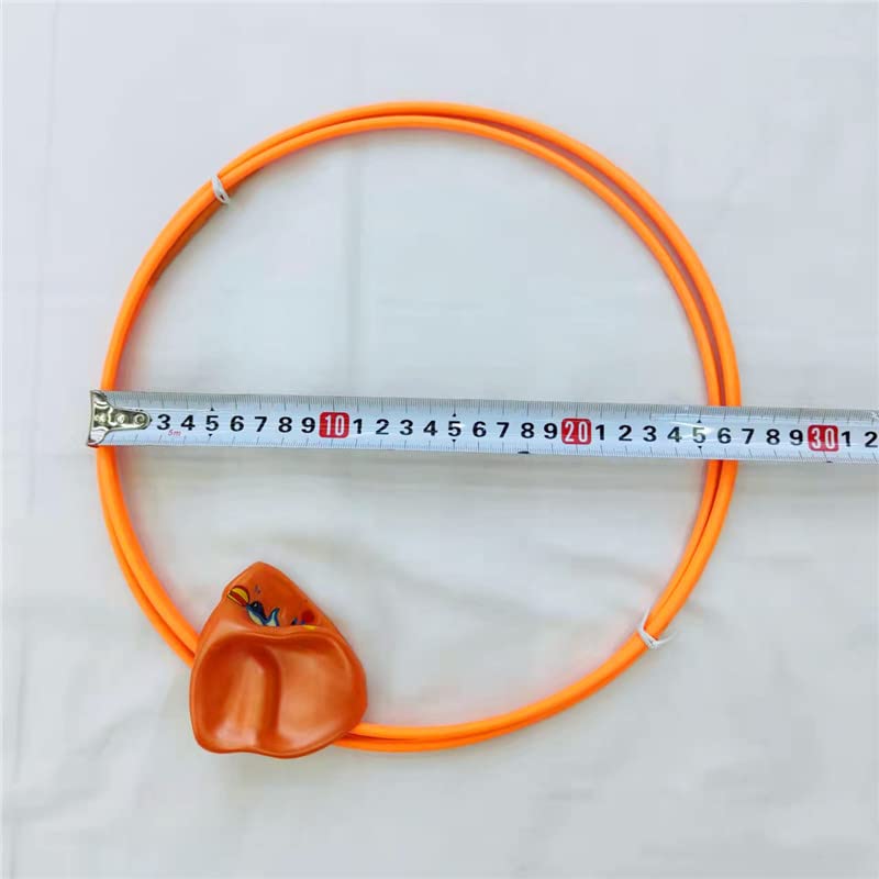 TOPWAYS Swimming Training Diving Pool Toys, Swimming Sports Diving Door Game Children's Underwater Training Gift Summer Fun Swimming Toys for Pool for Kids Girls Boy