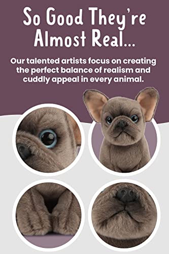 Living Nature French Bulldog Puppy, Realistic Soft Cuddly Dog Toy, Naturli Eco-Friendly Plush, 16cm