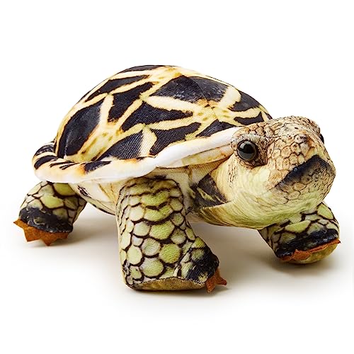 Zappi Co - So REALISTIC: Children's Soft Cuddly Plush Toy Animal - Perfect Playtime Companions for Children with Lifelike Detail (26cm Length) (Indian Star Tortoise)