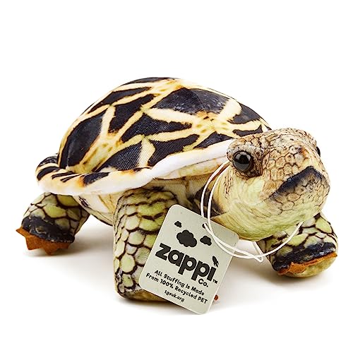 Zappi Co - So REALISTIC: Children's Soft Cuddly Plush Toy Animal - Perfect Playtime Companions for Children with Lifelike Detail (26cm Length) (Indian Star Tortoise)