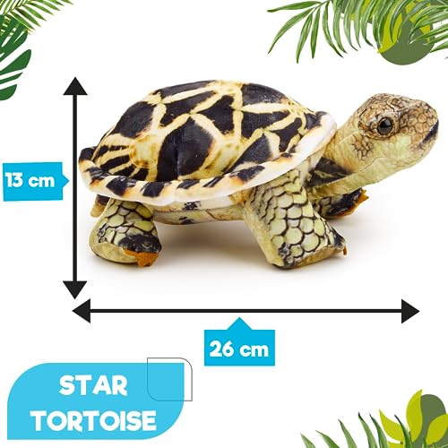 Zappi Co - So REALISTIC: Children's Soft Cuddly Plush Toy Animal - Perfect Playtime Companions for Children with Lifelike Detail (26cm Length) (Indian Star Tortoise)