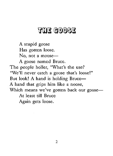 Hand Shadow Fun (Little Activity Books)