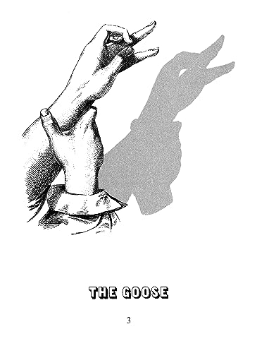 Hand Shadow Fun (Little Activity Books)