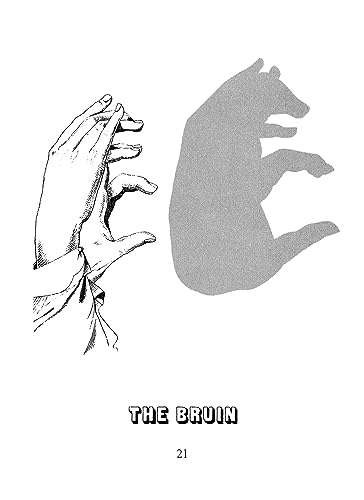 Hand Shadow Fun (Little Activity Books)