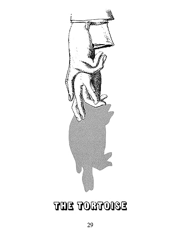 Hand Shadow Fun (Little Activity Books)