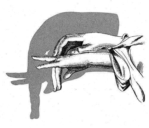 Fun with Hand Shadows (Dover Children's Activity Books)