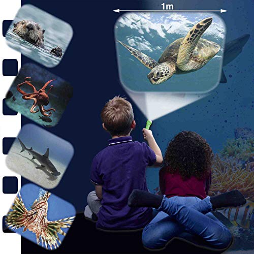 Natural History Museum Sea Creatures Torch and Projector