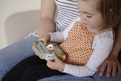 Baby Bunny: Finger Puppet Book: 5 (Little Finger Puppet Board Books)