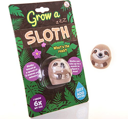 Boxer Gifts Grow a Sloth Toy - Just Add Water | Fun Kids Toys - Children's Sloth Gifts - Boys & Girls Birthday Presents | Small Christmas Stocking Filler Gift Ideas For Children - Pass The Parcel Item