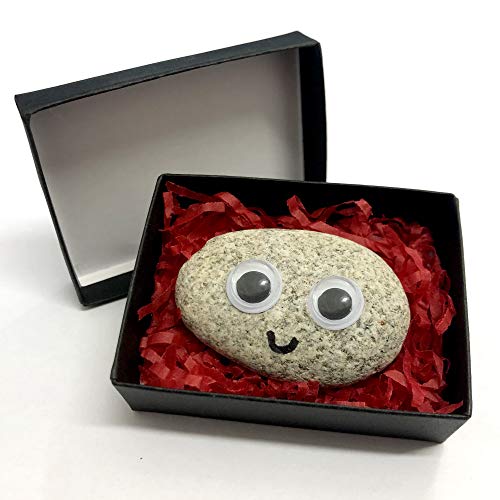 Pet Rock - Novelty Gift Idea - Ideal For Birthday Presents, Wedding Favours, Party Bags etc