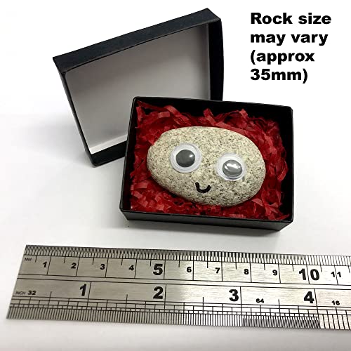 Pet Rock - Novelty Gift Idea - Ideal For Birthday Presents, Wedding Favours, Party Bags etc