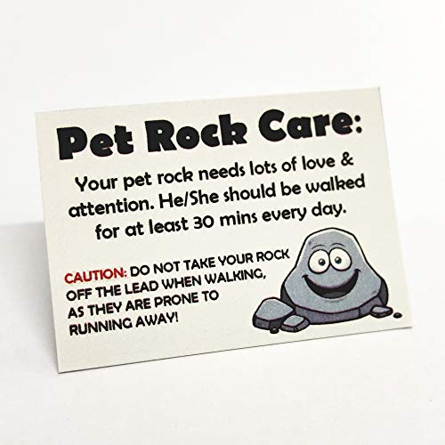 Pet Rock - Novelty Gift Idea - Ideal For Birthday Presents, Wedding Favours, Party Bags etc