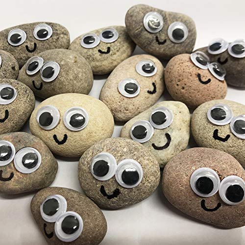 Pet Rock - Novelty Gift Idea - Ideal For Birthday Presents, Wedding Favours, Party Bags etc