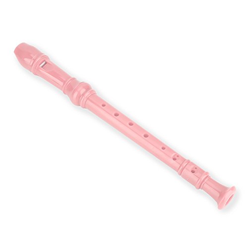 Recorder Flute, 8 Holes Soprano Recorder Musical Instrument with Cleaning Bar for Kids Beginners (Pink)