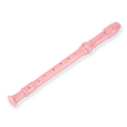 Recorder Flute, 8 Holes Soprano Recorder Musical Instrument with Cleaning Bar for Kids Beginners (Pink)
