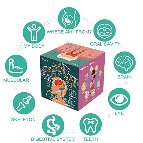 Aliwovo My Body Educational Study Cube Human Cartoon Anatomy Poster Set Learning Body Parts, Organs, Muscles And Bones For Kids Fun Learning-Tool Educational Gift for Boy and Girl, Blue