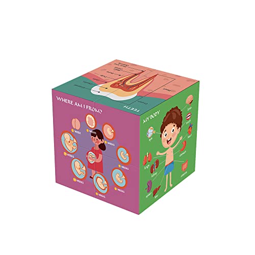 Aliwovo My Body Educational Study Cube Human Cartoon Anatomy Poster Set Learning Body Parts, Organs, Muscles And Bones For Kids Fun Learning-Tool Educational Gift for Boy and Girl, Blue