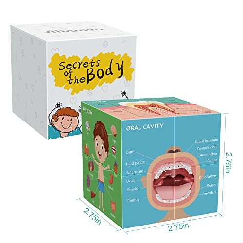 Aliwovo My Body Educational Study Cube Human Cartoon Anatomy Poster Set Learning Body Parts, Organs, Muscles And Bones For Kids Fun Learning-Tool Educational Gift for Boy and Girl, Blue