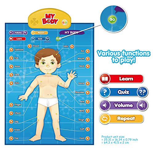 BEST LEARNING i-Poster My Body - Interactive Educational Human Anatomy Talking Game Toy System to Learn Body Parts, Organs, Muscles and Bones for Kids Aged 5 to 12 Years Old