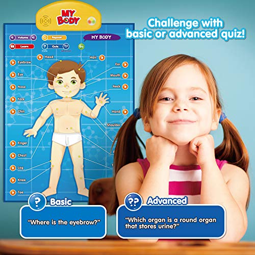 BEST LEARNING i-Poster My Body - Interactive Educational Human Anatomy Talking Game Toy System to Learn Body Parts, Organs, Muscles and Bones for Kids Aged 5 to 12 Years Old