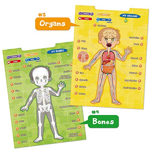 BEST LEARNING i-Poster My Body - Interactive Educational Human Anatomy Talking Game Toy System to Learn Body Parts, Organs, Muscles and Bones for Kids Aged 5 to 12 Years Old