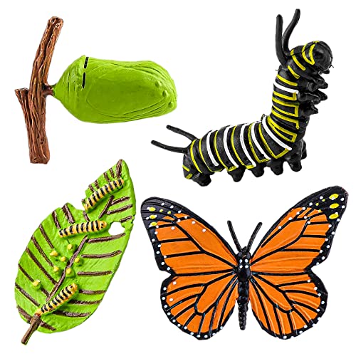 Cobee Insect Figurines Life Cycle of Butterflies Growth Model, 4 Pcs Preschool Learning Teaching Insect Growth Cycle Model Toy Realistic Animal Figures Insect Education Growth Stage Model Props