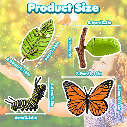 Cobee Insect Figurines Life Cycle of Butterflies Growth Model, 4 Pcs Preschool Learning Teaching Insect Growth Cycle Model Toy Realistic Animal Figures Insect Education Growth Stage Model Props